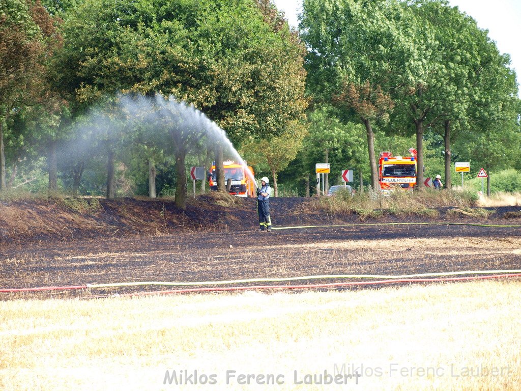 Bodenfeuer ausgeloest durch Strohballenpresse Koeln Holweide Colonia Allee P58.JPG